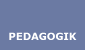 Pedagogik