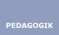 Pedagogik