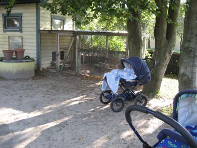 img_0323 img_0323